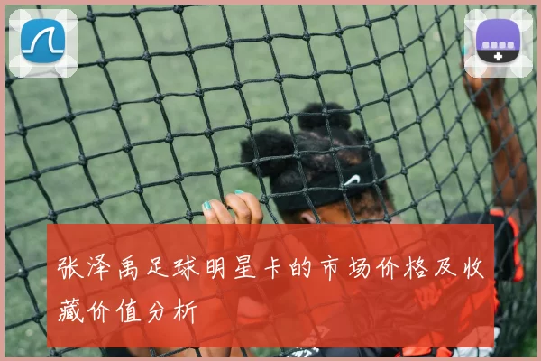 张泽禹足球明星卡的市场价格及收藏价值分析