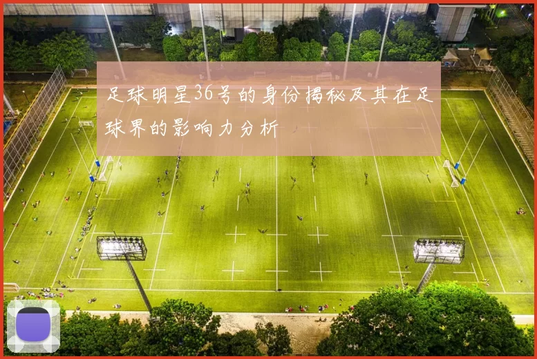足球明星36号的身份揭秘及其在足球界的影响力分析
