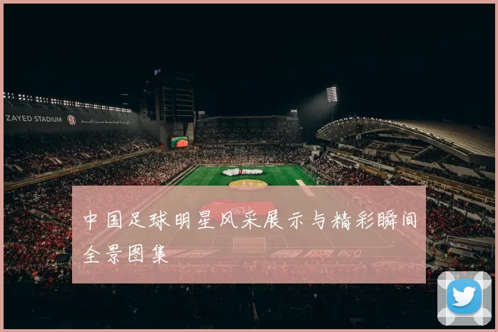 中国足球明星风采展示与精彩瞬间全景图集
