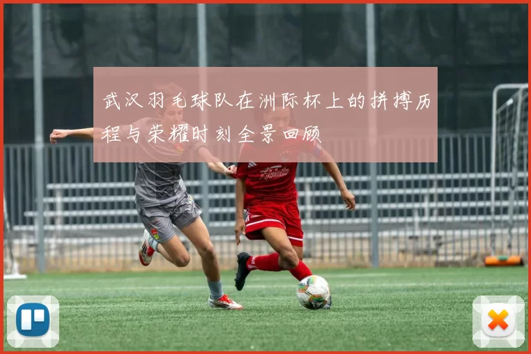 武汉羽毛球队在洲际杯上的拼搏历程与荣耀时刻全景回顾