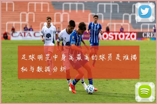 足球明星中身高最高的球员是谁揭秘与数据分析