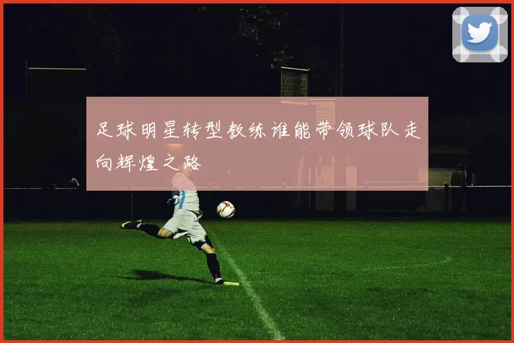 足球明星转型教练谁能带领球队走向辉煌之路