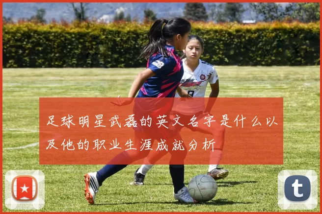 足球明星武磊的英文名字是什么以及他的职业生涯成就分析