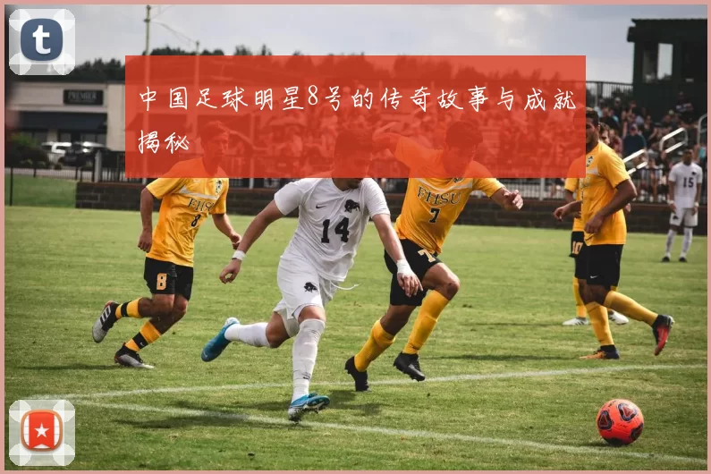 中国足球明星8号的传奇故事与成就揭秘