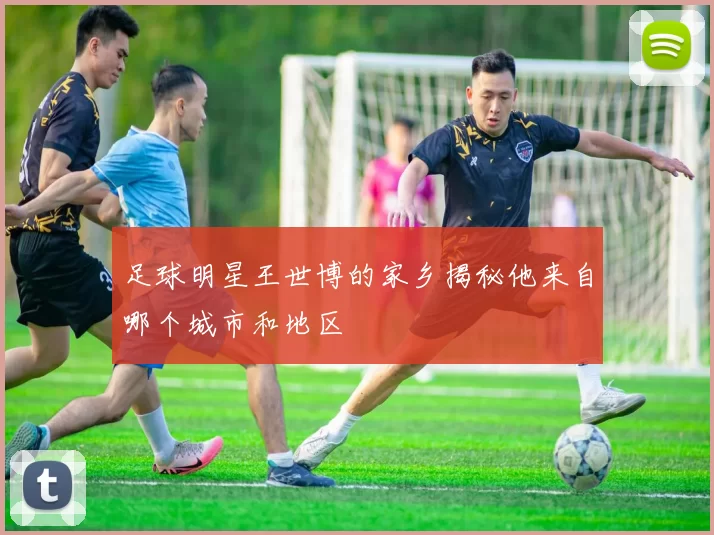 足球明星王世博的家乡揭秘他来自哪个城市和地区